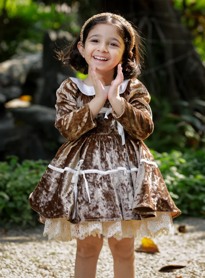 Velvet Golden Collar Dress