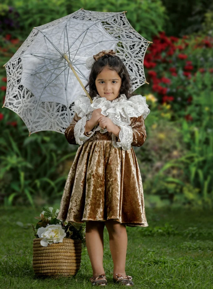 Golden Lace Collar Dress